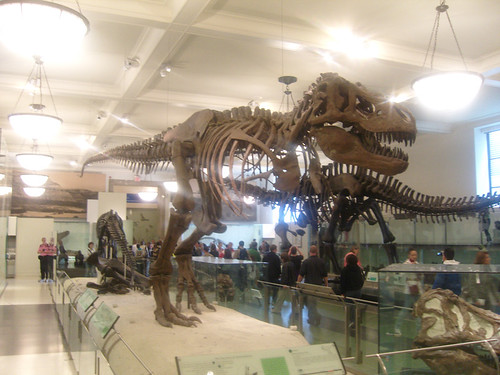 Dinosaurs and things!